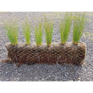 Coir Pallets & Sods