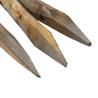 Chestnut Post