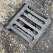Biodegradable Drain Guard