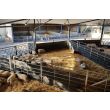 Agricultural Stokbord Lifestyle Image