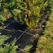 Weed Control Membrane – Woven