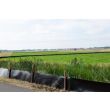 Agricultural Stokbord Lifestyle Image
