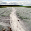 Insect Mesh Netting