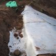 Non-Woven Geotextile Membrane