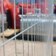Anti-Climb Mesh Fence