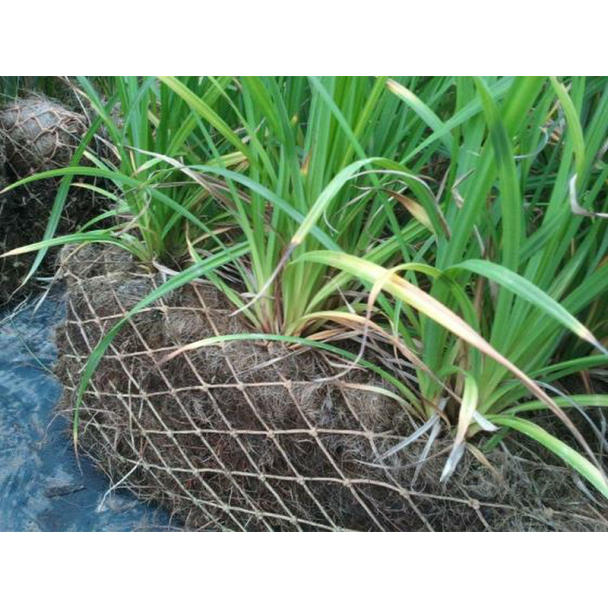 Coir Pallets & Sods
