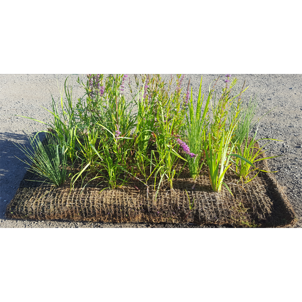 Coir Pallets & Sods