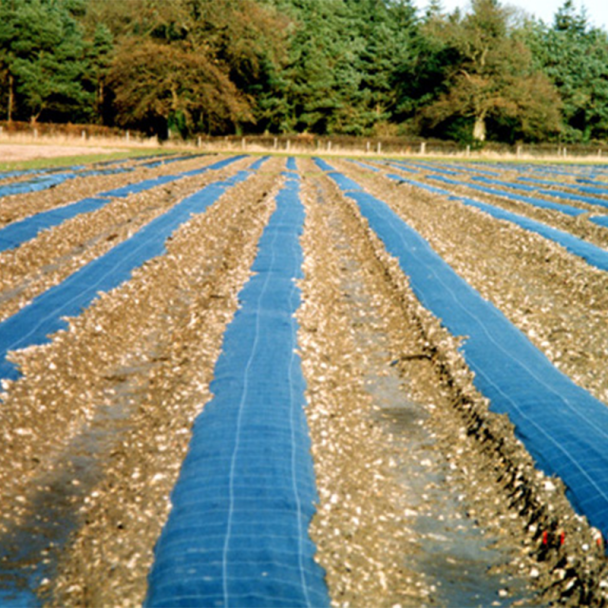 Weed Control Membrane – Woven