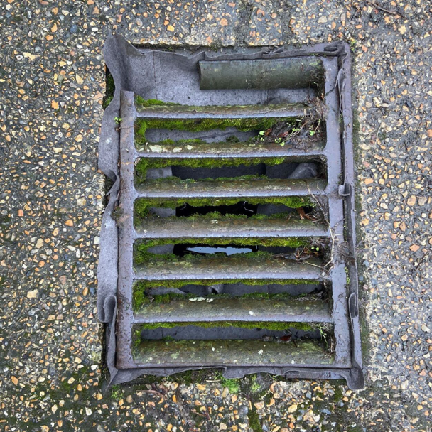 Biodegradable Drain Guard