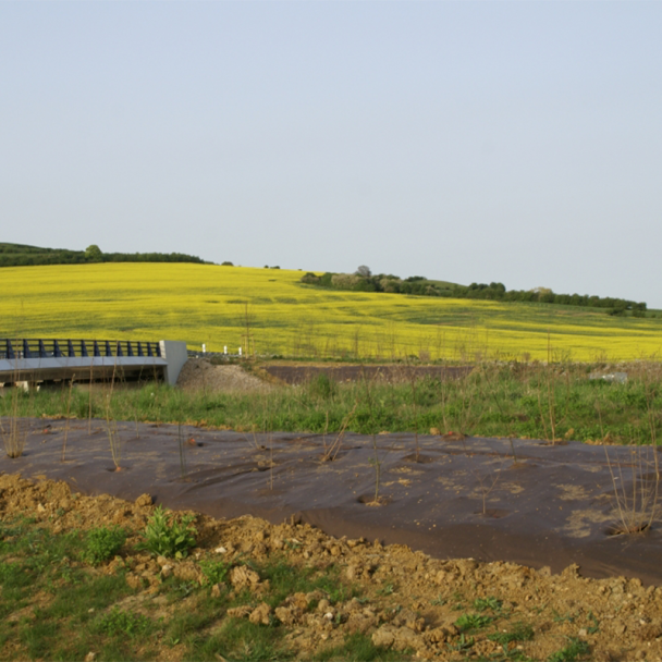 Biodegradable Weed Control Membrane