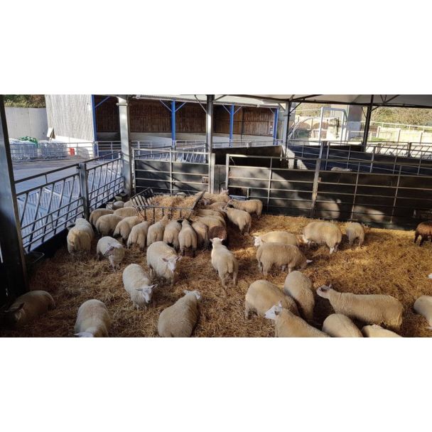 Agricultural Stokbord Lifestyle Image